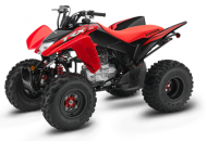 2021 Honda TRX250X SportClutch™