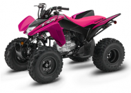 2021 Honda TRX250X SportClutch™