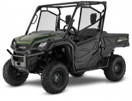 2022 PIONEER 1000